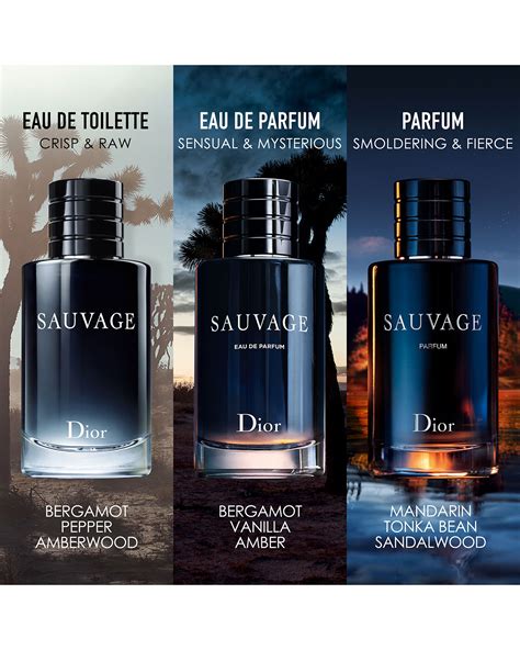 dior sauvage patchouli|sauvage dior perfume.